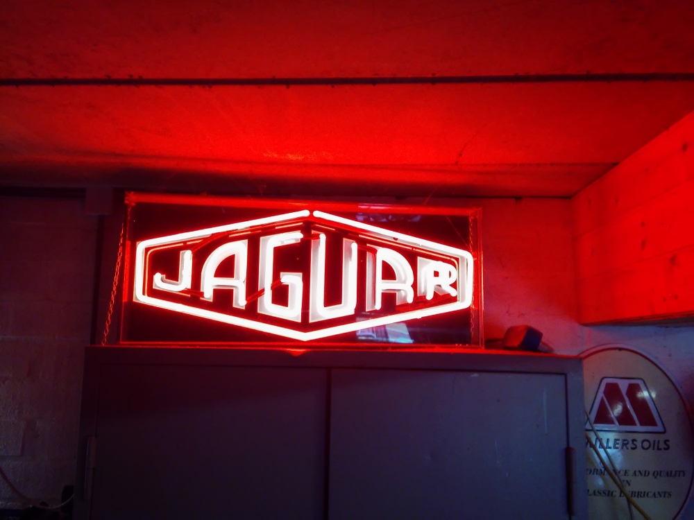 Jaguar neonlight